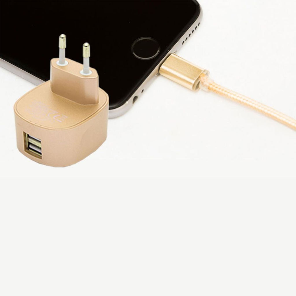 FX Multicoloured Dual USB Mains Charger 2.4 AMP Plug (EU), Gold