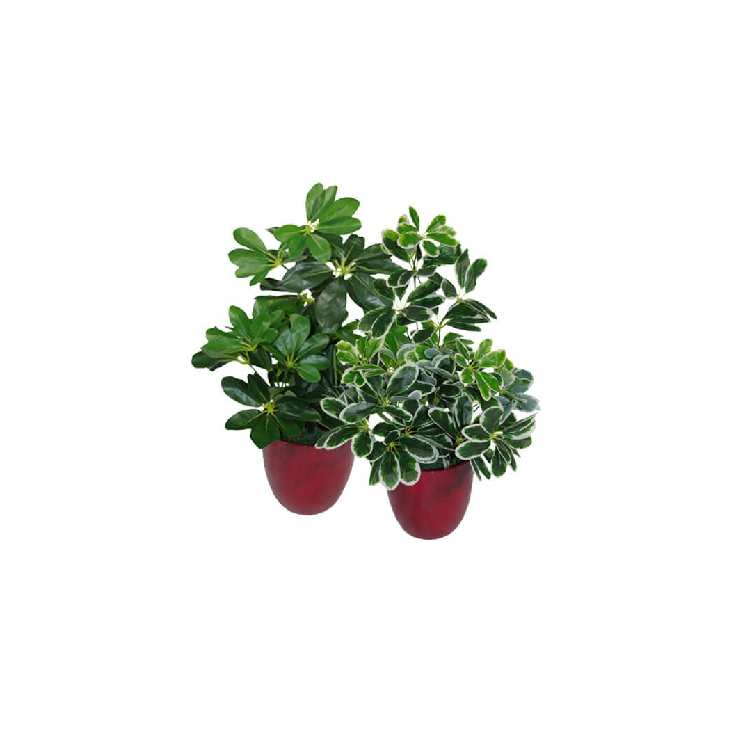 55cm Dark Green Artificial Umbrella Plant
