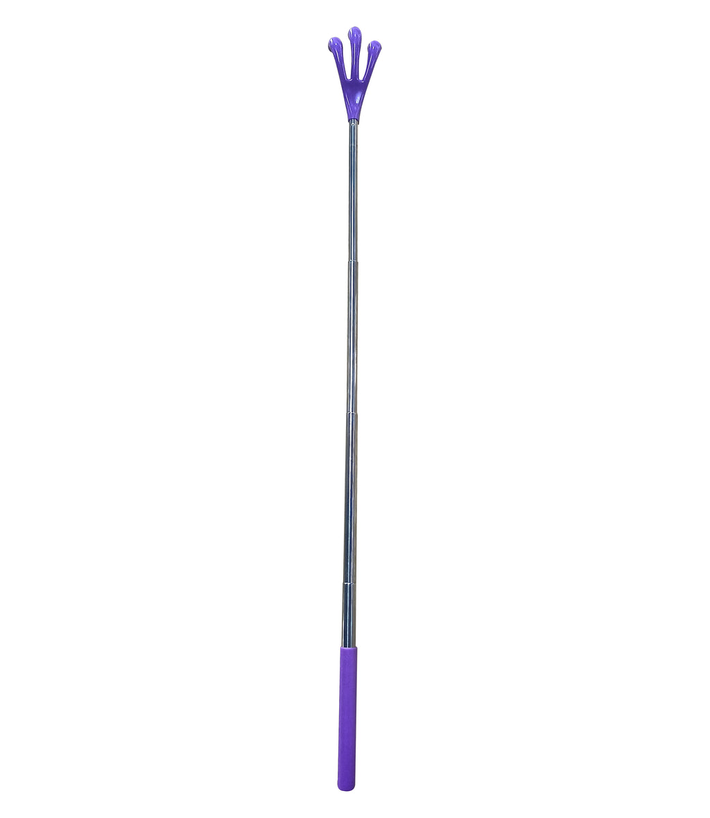 Extendable Back Stretcher