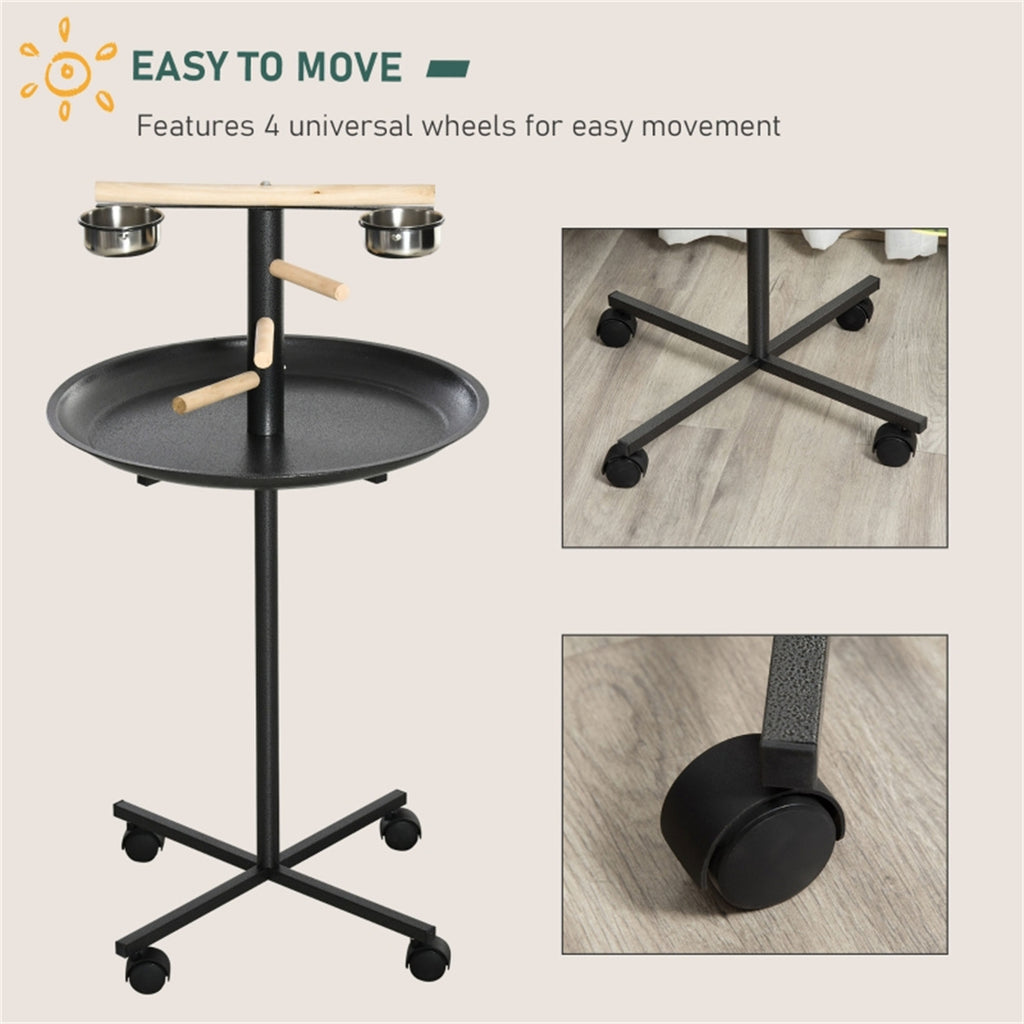 Bird Stand