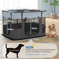 Pet Carrier