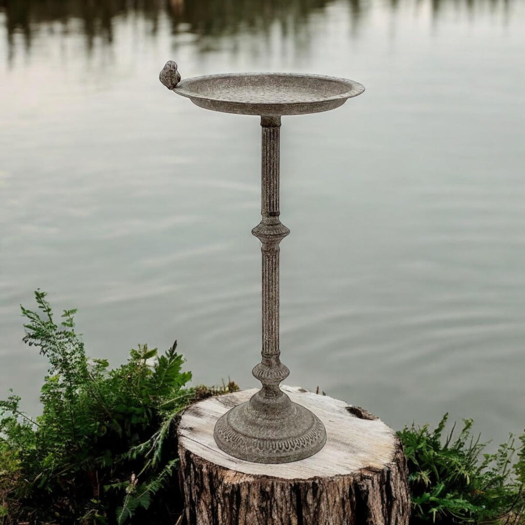 Antique Iron Metal Feeder Birdbath with Hand-Finished Distressed Design