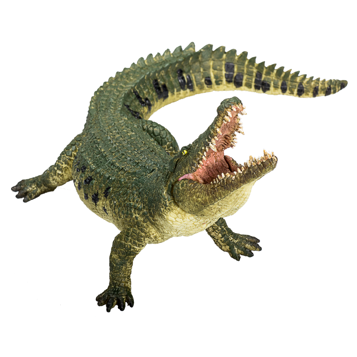 Crocodile with Articulated Jaw  Realistic Reptile Model