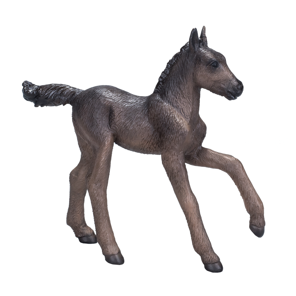 Arabian Foal Black  Realistic Horse Model