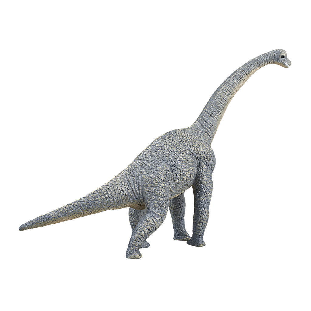 Brachiosaurus Dinosaur Toy  Realistic Prehistoric Figure