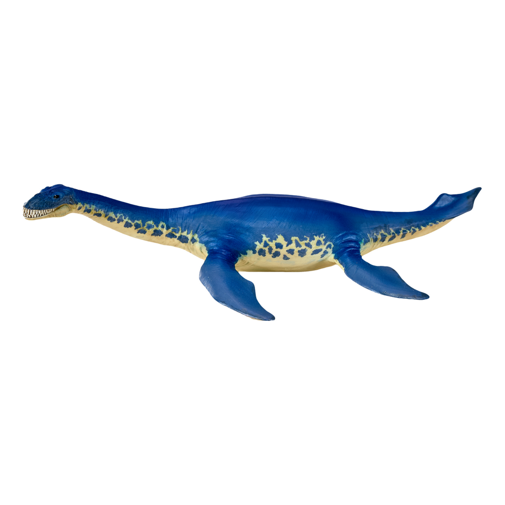 Cryptoclidus Dinosaur Toy  Prehistoric Marine Reptile