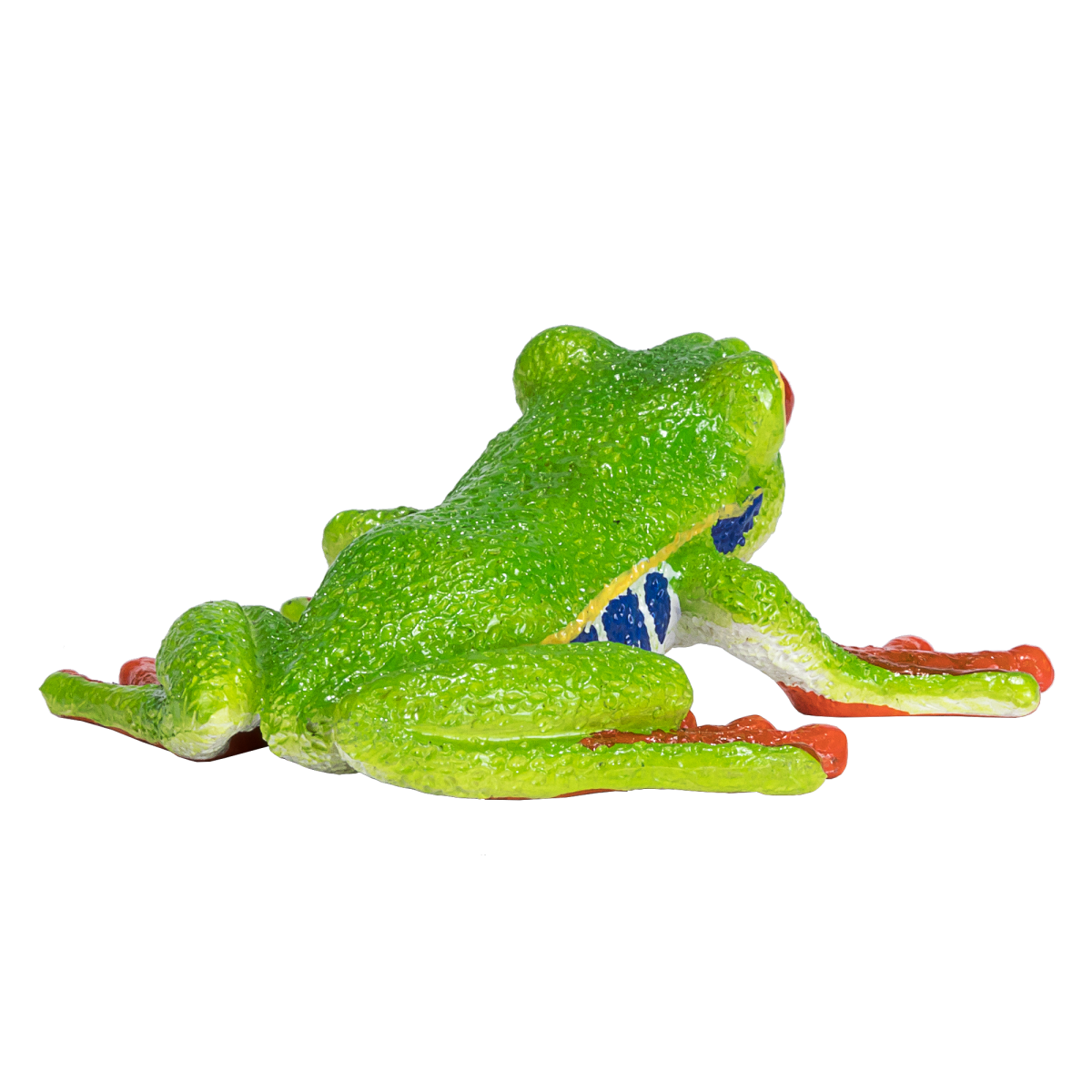 Red-Eyed Tree Frog Toy  Realistic Rainforest Amphibian Figure