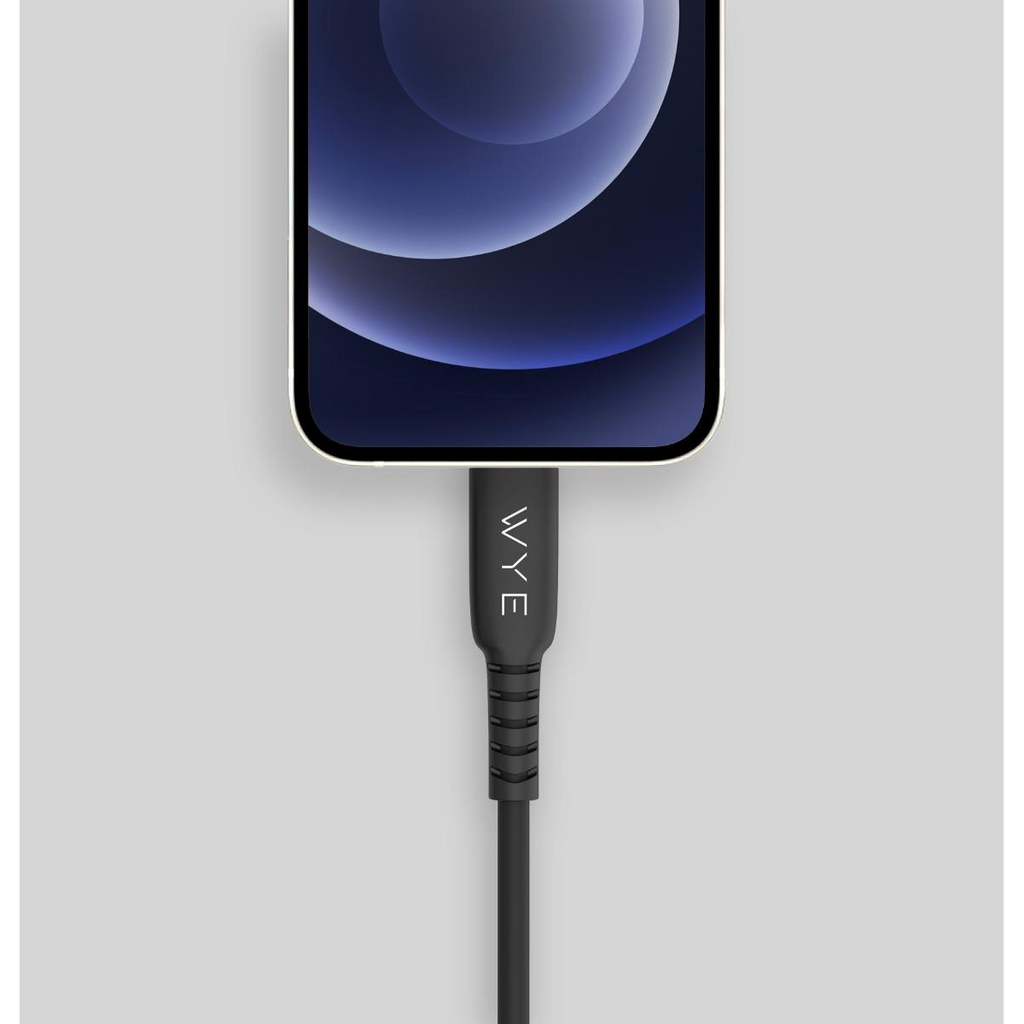 WYE USB-A to 8-Pin Fast Charging & Data Cable 3m - Black