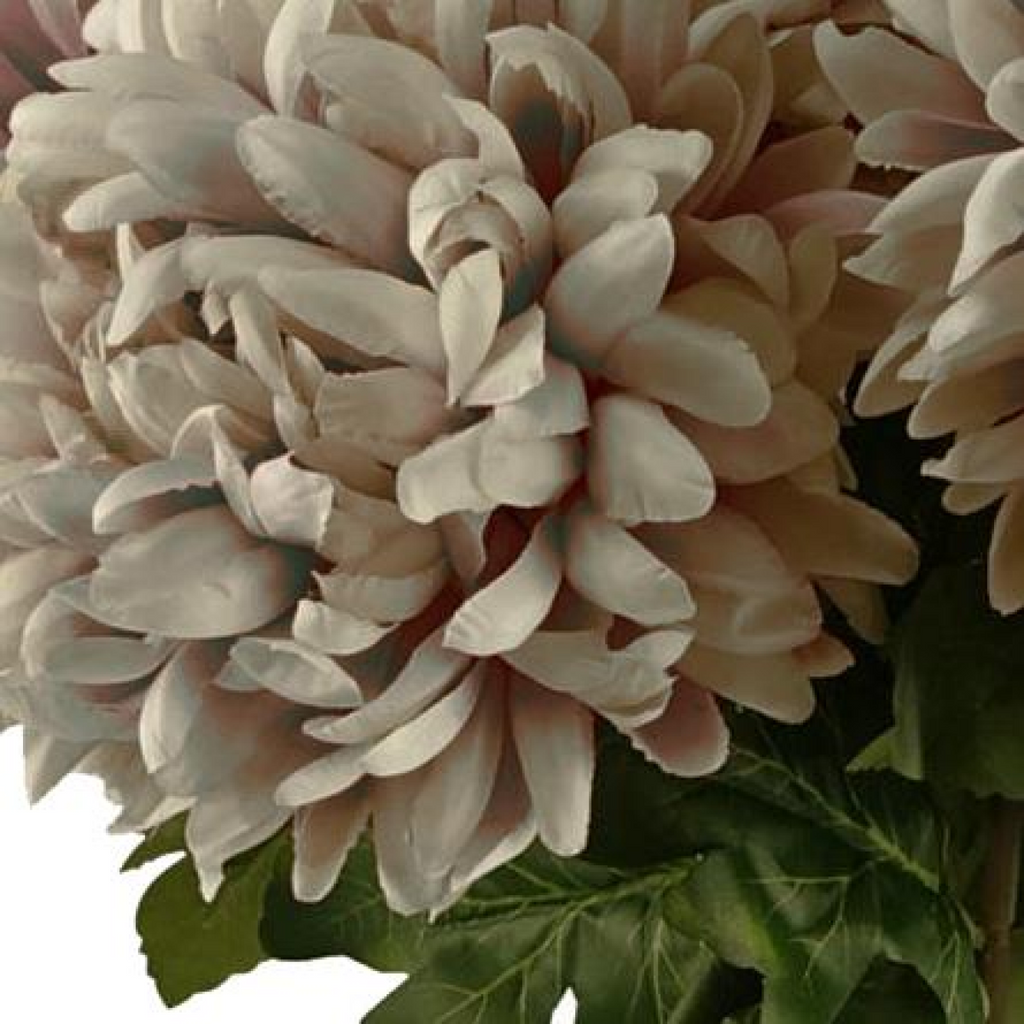 75cm Extra Large Reflex Chrysanthemum - Mushroom