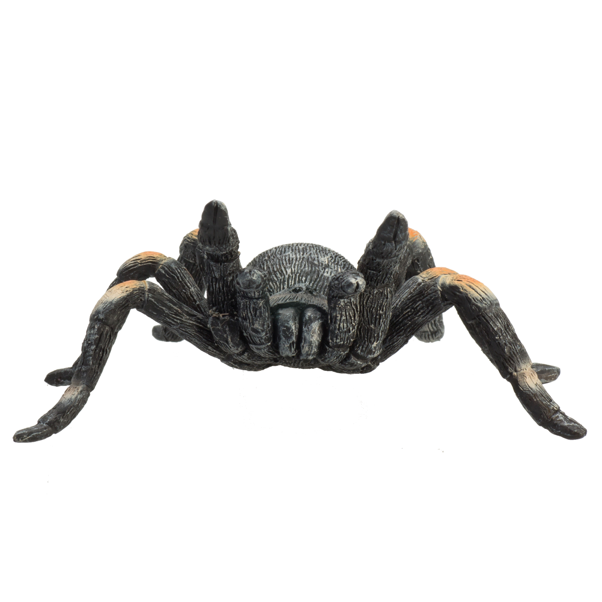 Red-Kneed Tarantula Toy  Realistic Spider Figurine