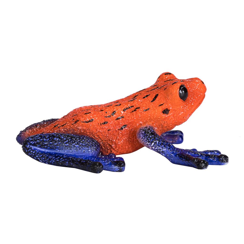 Poison Dart Tree Frog Toy  Realistic Rainforest Amphibian Figure