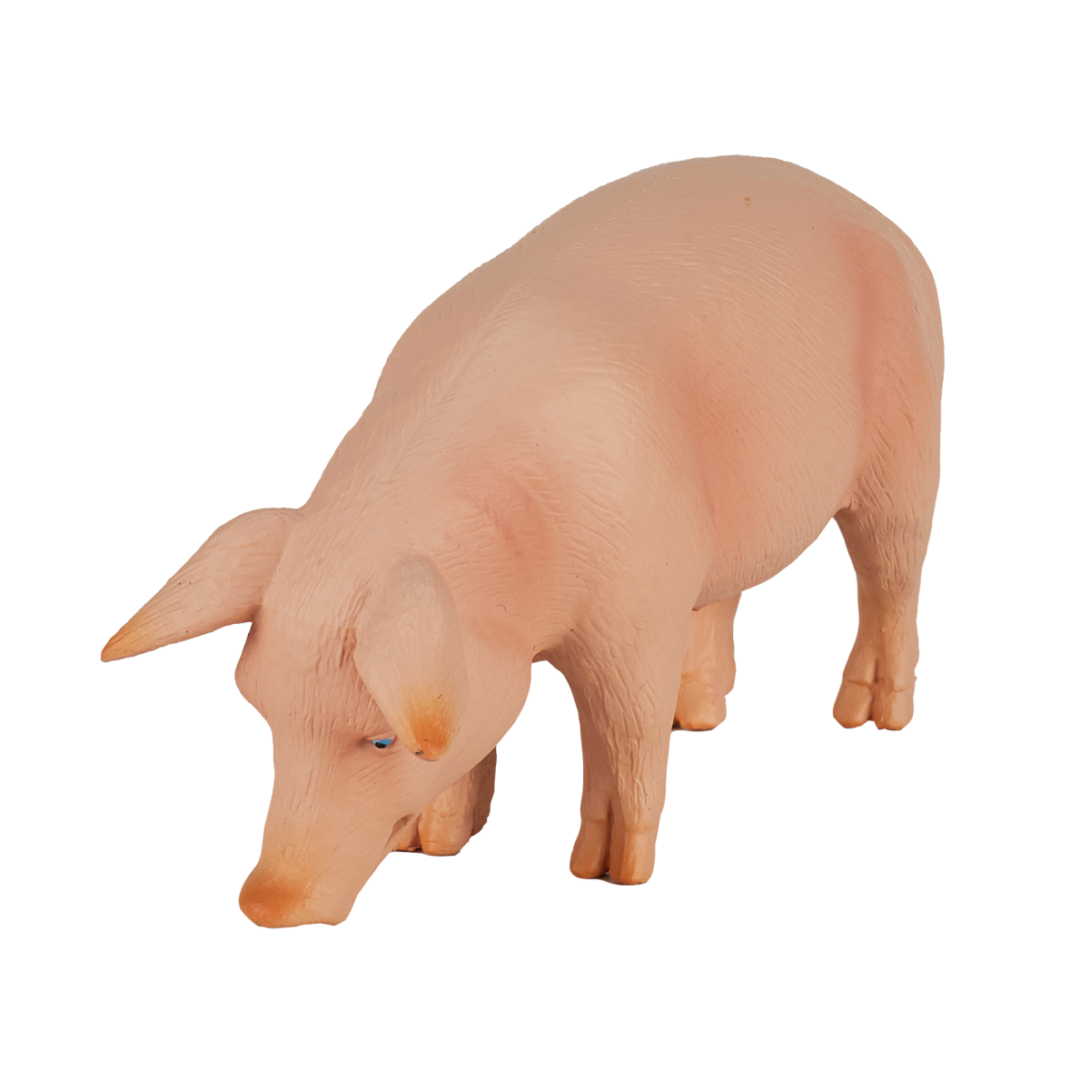 Wild Boar Pig Toy  Realistic Farm & Forest Animal Figure