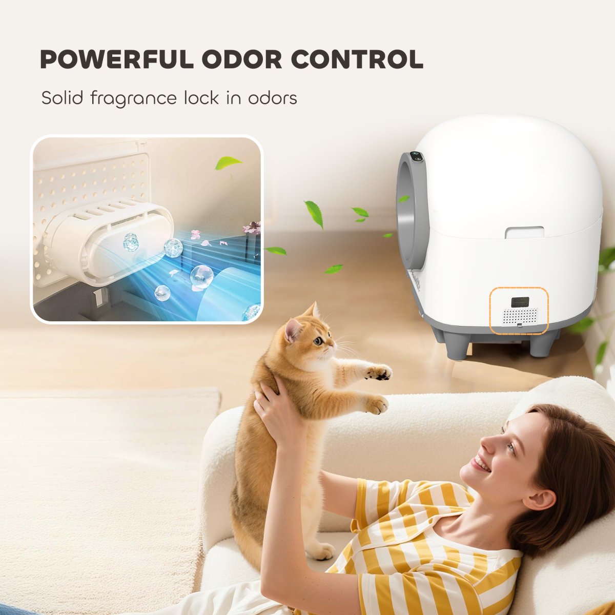 Cat Litter Box