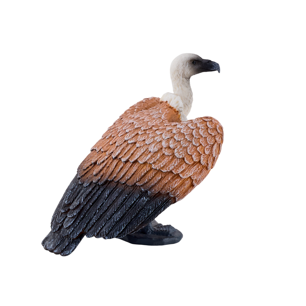 Griffon Vulture Toy  Realistic Bird of Prey Model