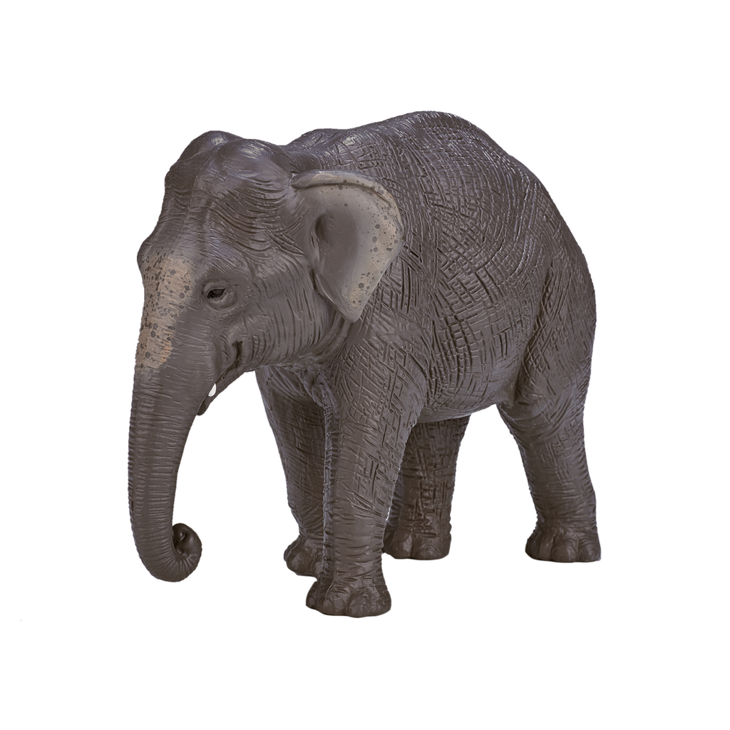Asian Elephant Toy Figure  Realistic Wildlife Model