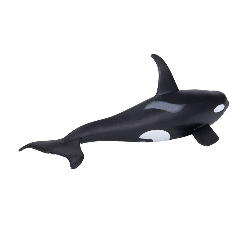 Orca Male Toy  Realistic Marine Mammal Model