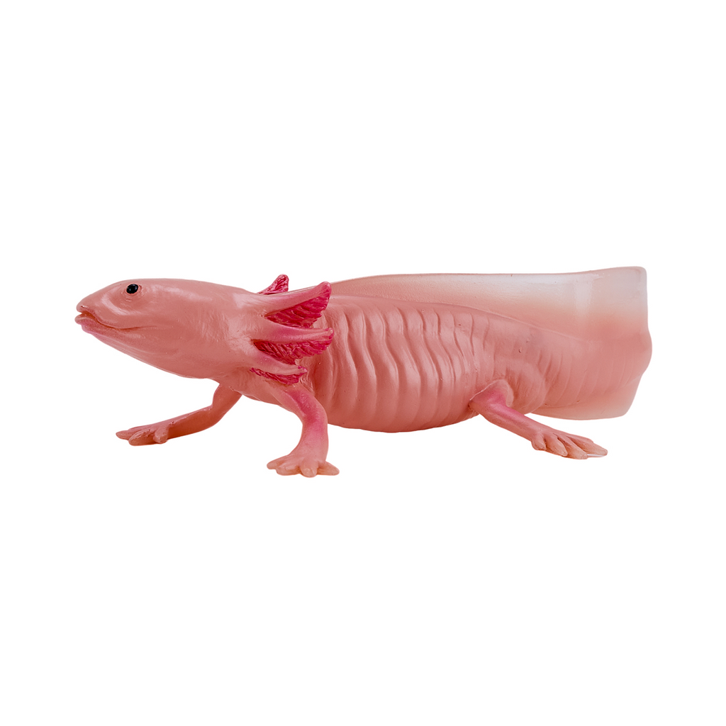Axolotl Toy  Realistic Amphibian Figurine