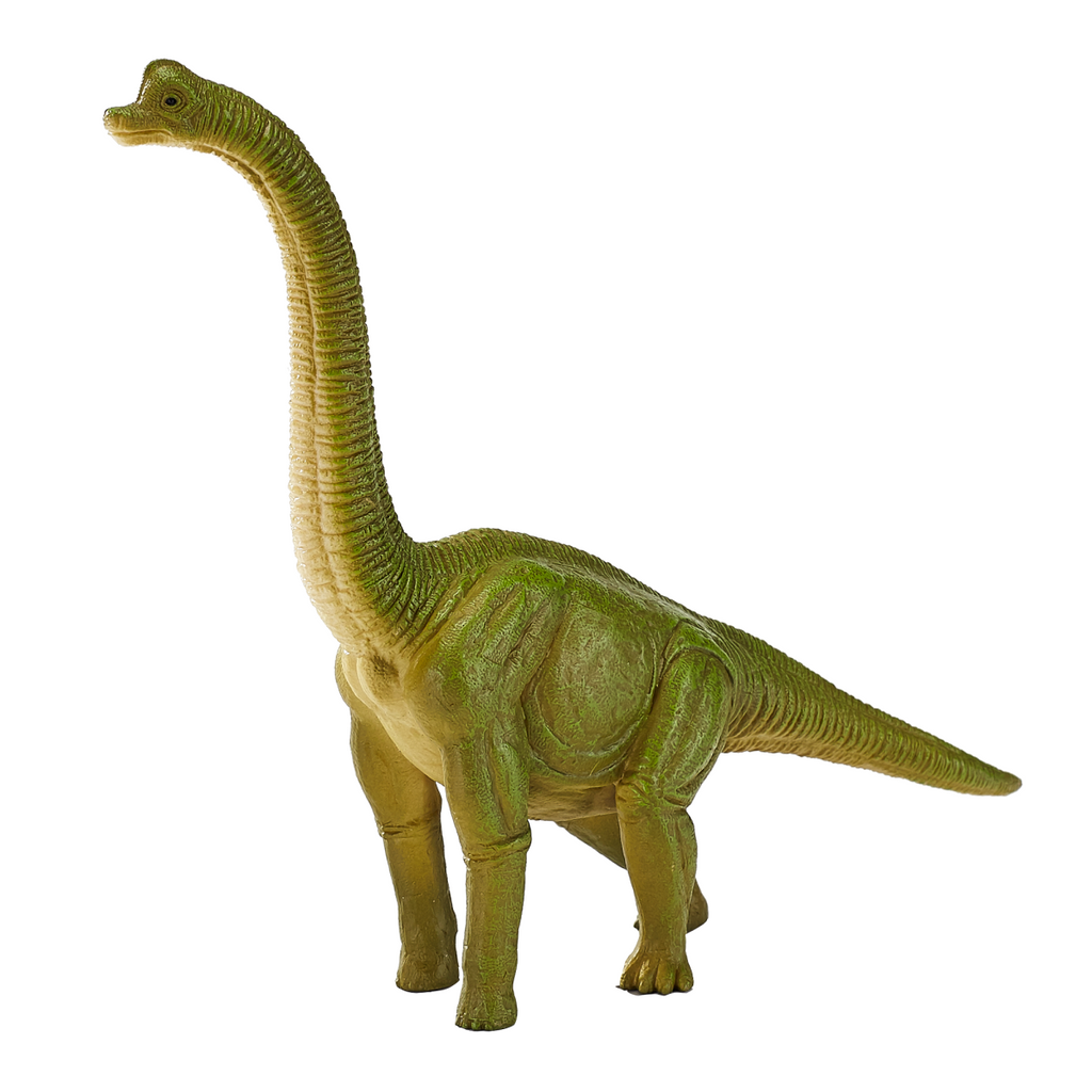 Brachiosaurus Dinosaur Toy  Realistic Prehistoric Model