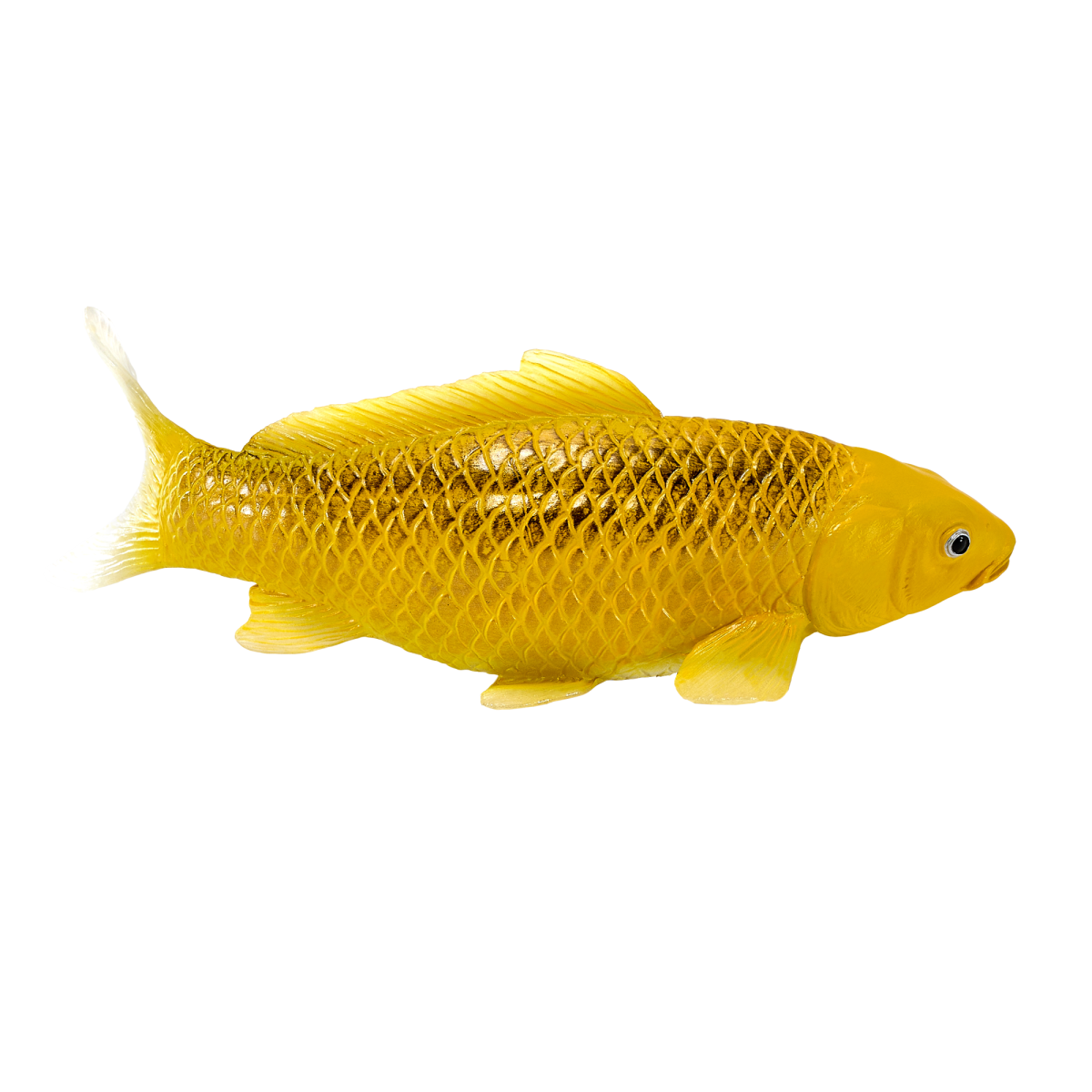 Koi Carp Kin Matsuba  Realistic Fish Figurine