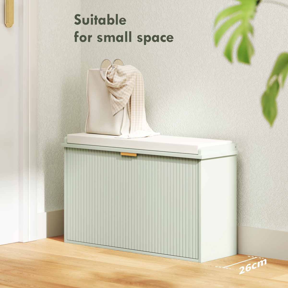 Shoe Storage Cabinet