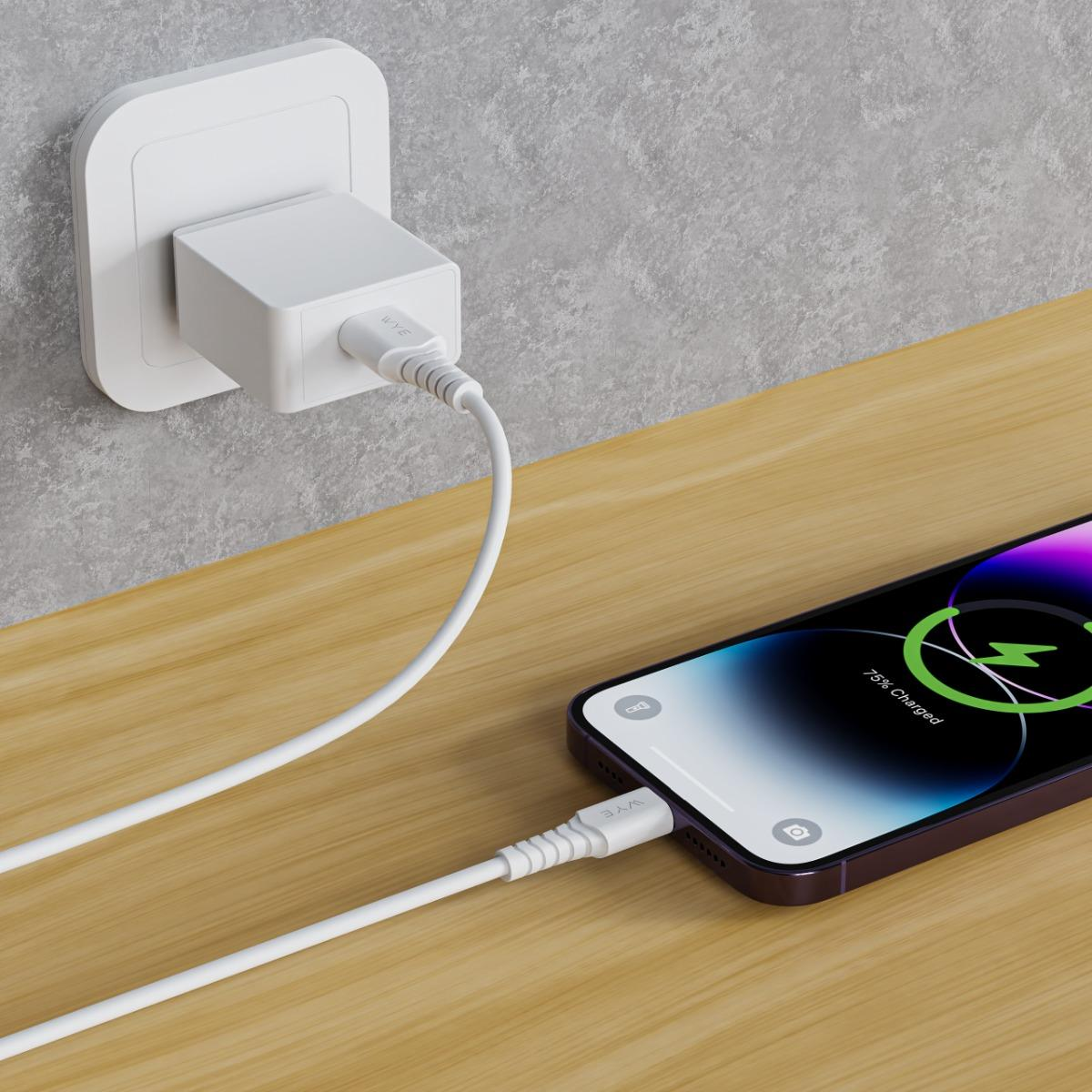 WYE USB-A to 8 Pin Fast Charging & Data Cable 1m