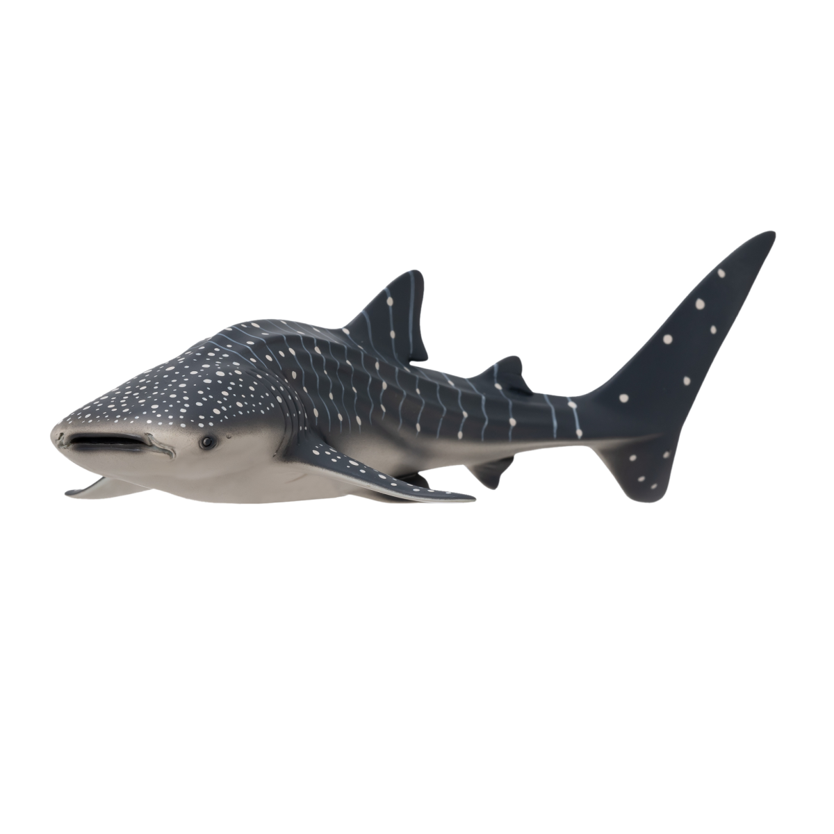 Whale Shark Toy  Realistic Ocean Animal Model