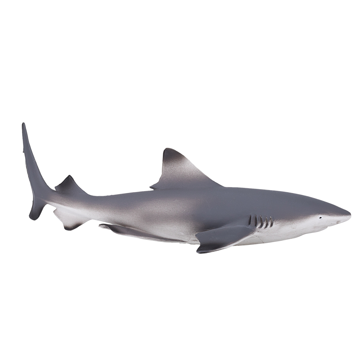 Blacktip Reef Shark Toy  Realistic Ocean Predator Model