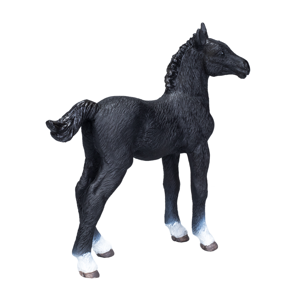 Hanoverian Foal Black  Realistic Equestrian Figurine