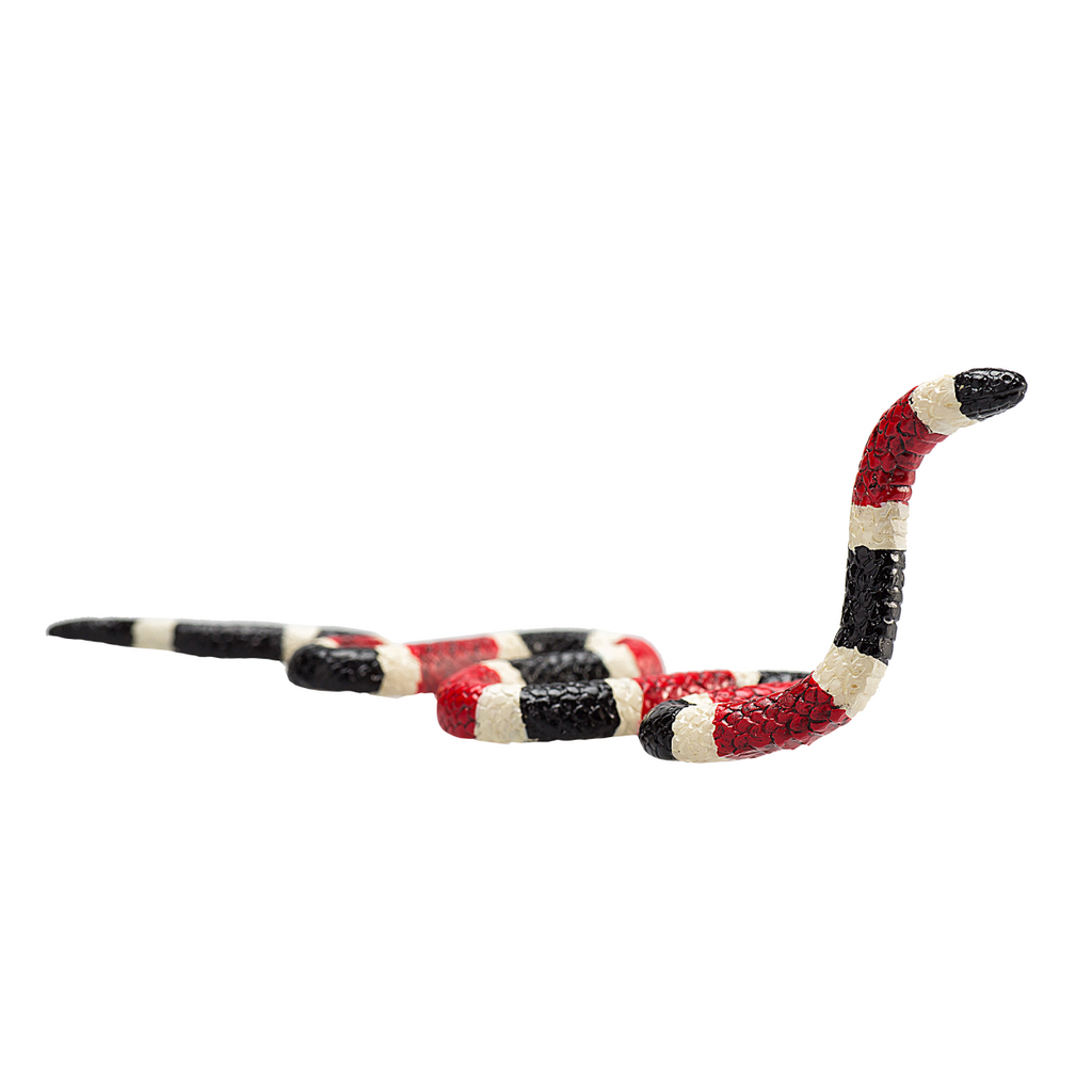 Coral Snake Toy  Realistic Reptile Figurine