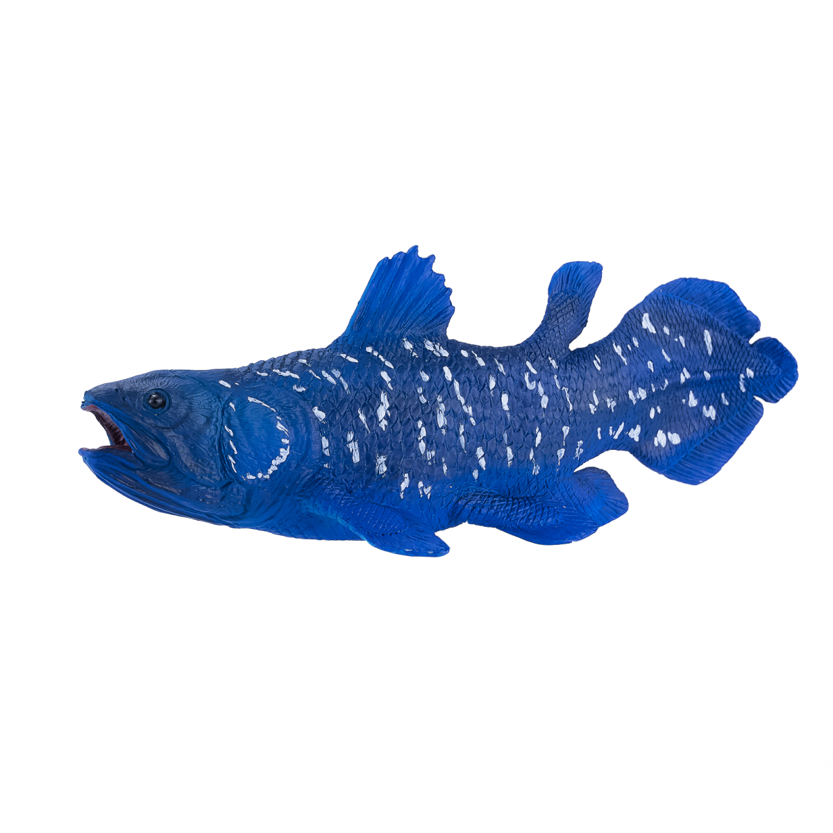 Coelacanth Toy  Realistic Prehistoric Fish Model