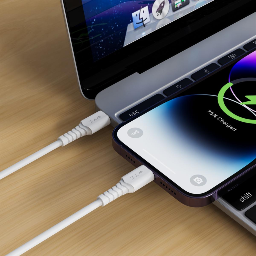 WYE USB-C to 8 Pin 20W Fast Charging & Data Cable 1m