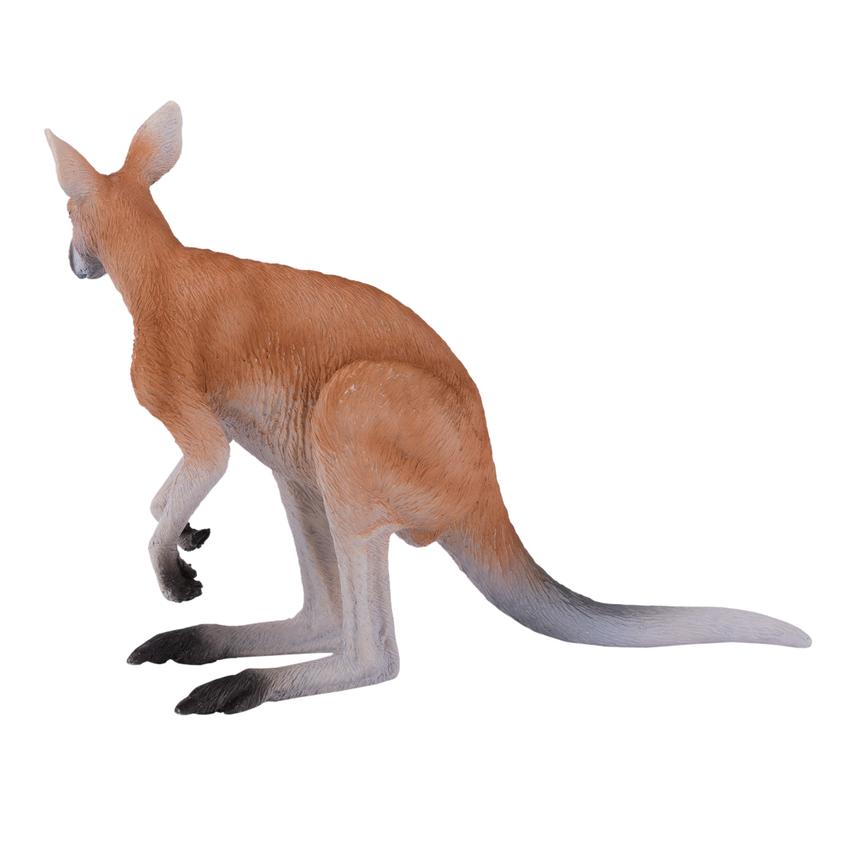 Kangaroo Toy  Realistic Australian Wildlife Model