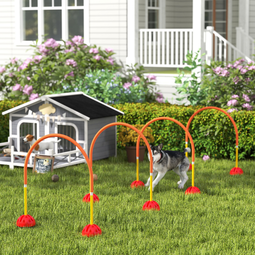 PawHut 4 Piece Dog Agility Training Equipment with Carry Bag, Orange