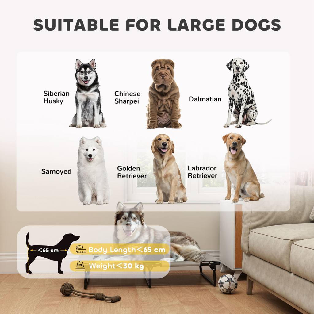 Dog House