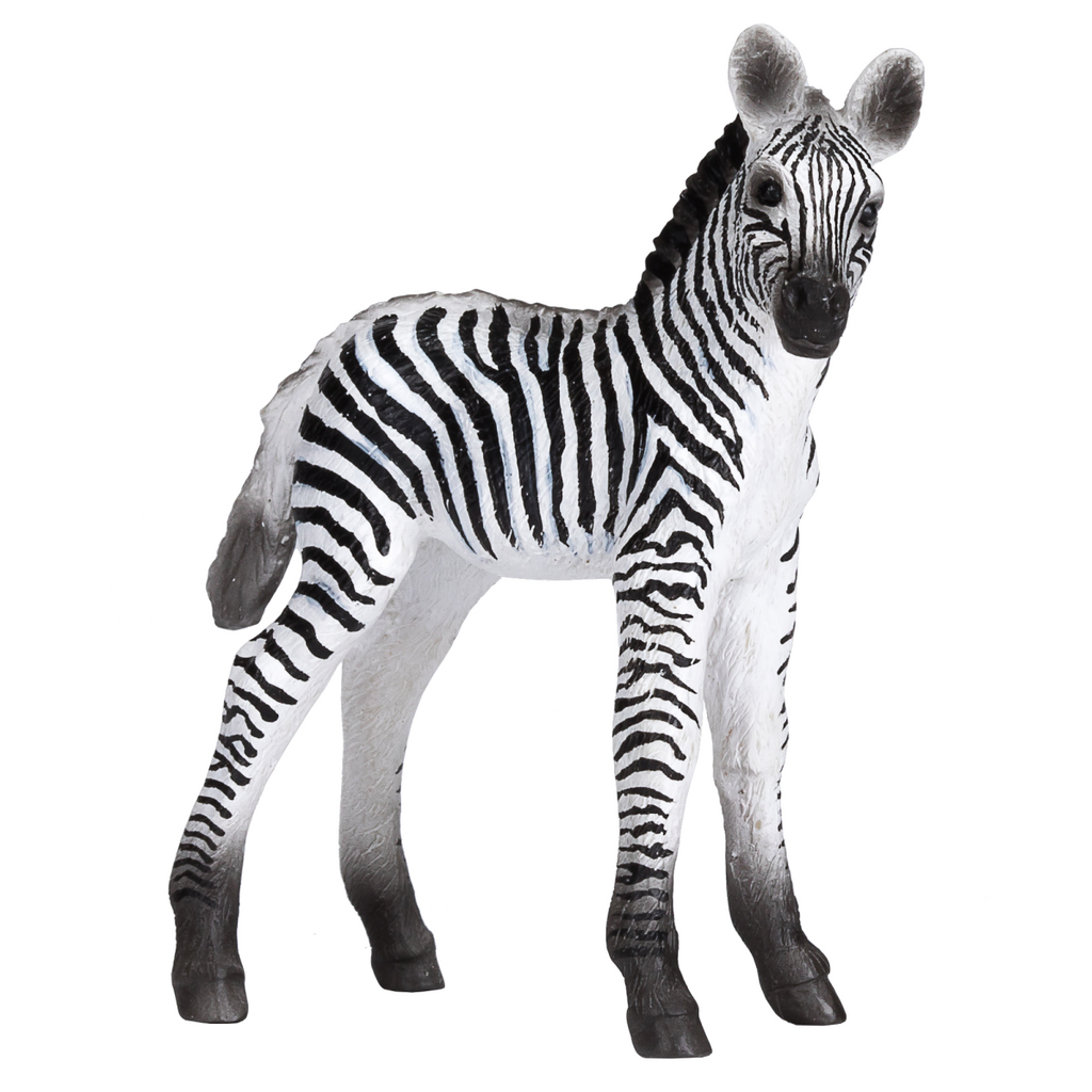Zebra Foal Toy  Realistic African Wildlife Model