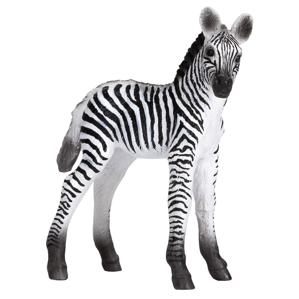 Zebra Foal Toy  Realistic African Wildlife Model