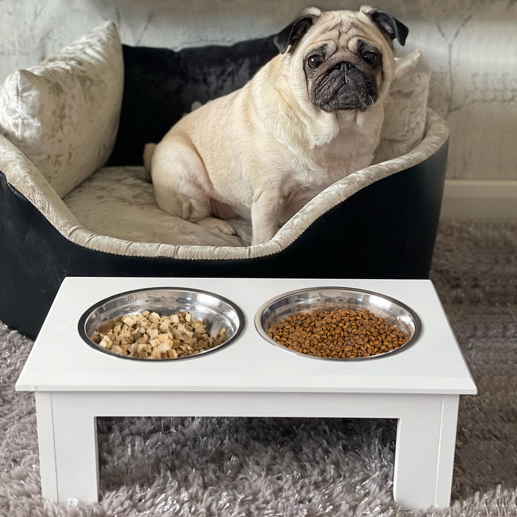 Pet Feeder Raised Elevated Stainless Steel Bowls Stand Food Water White Samll