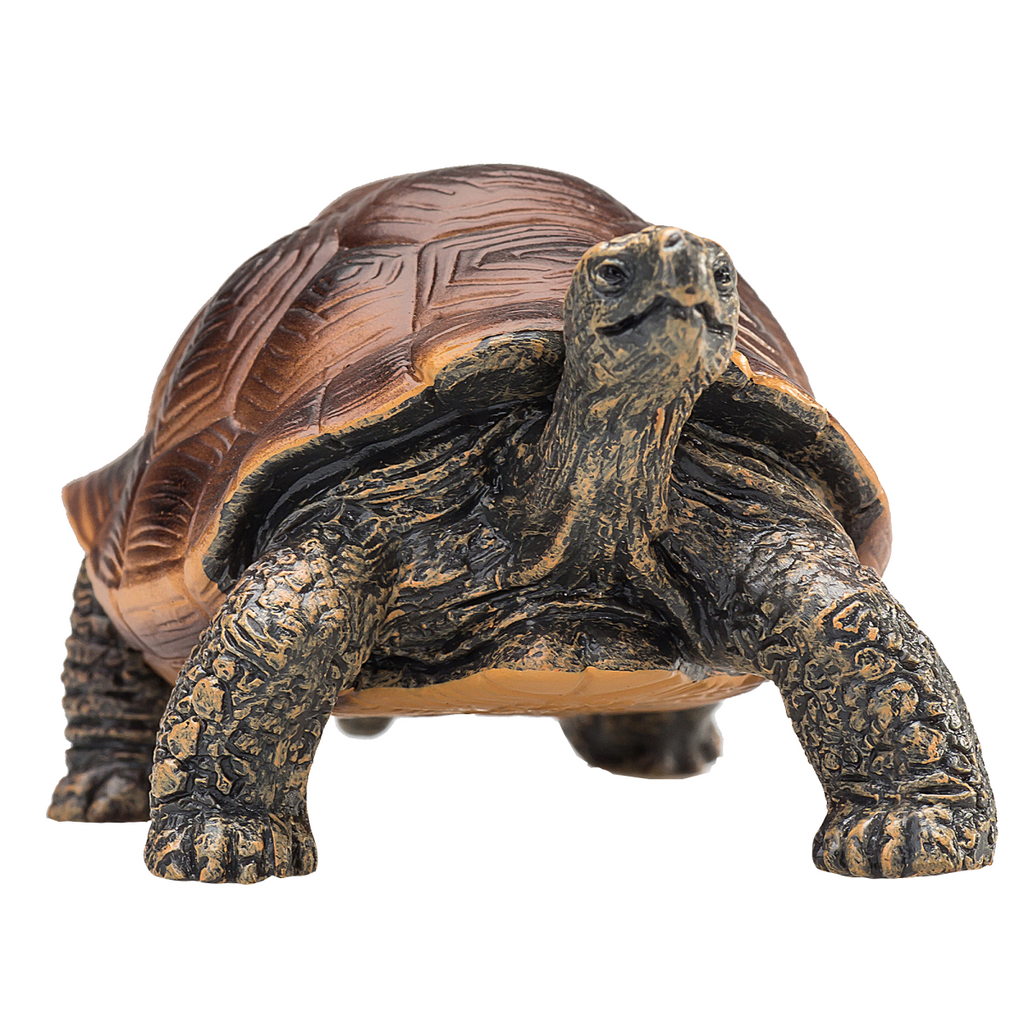 Giant Tortoise Toy  Realistic Reptile Model
