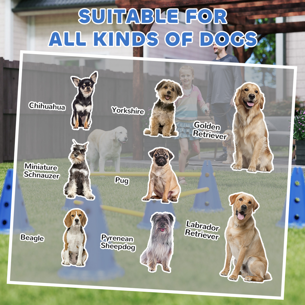 Dog Agility Equipment Set of Eight Cones