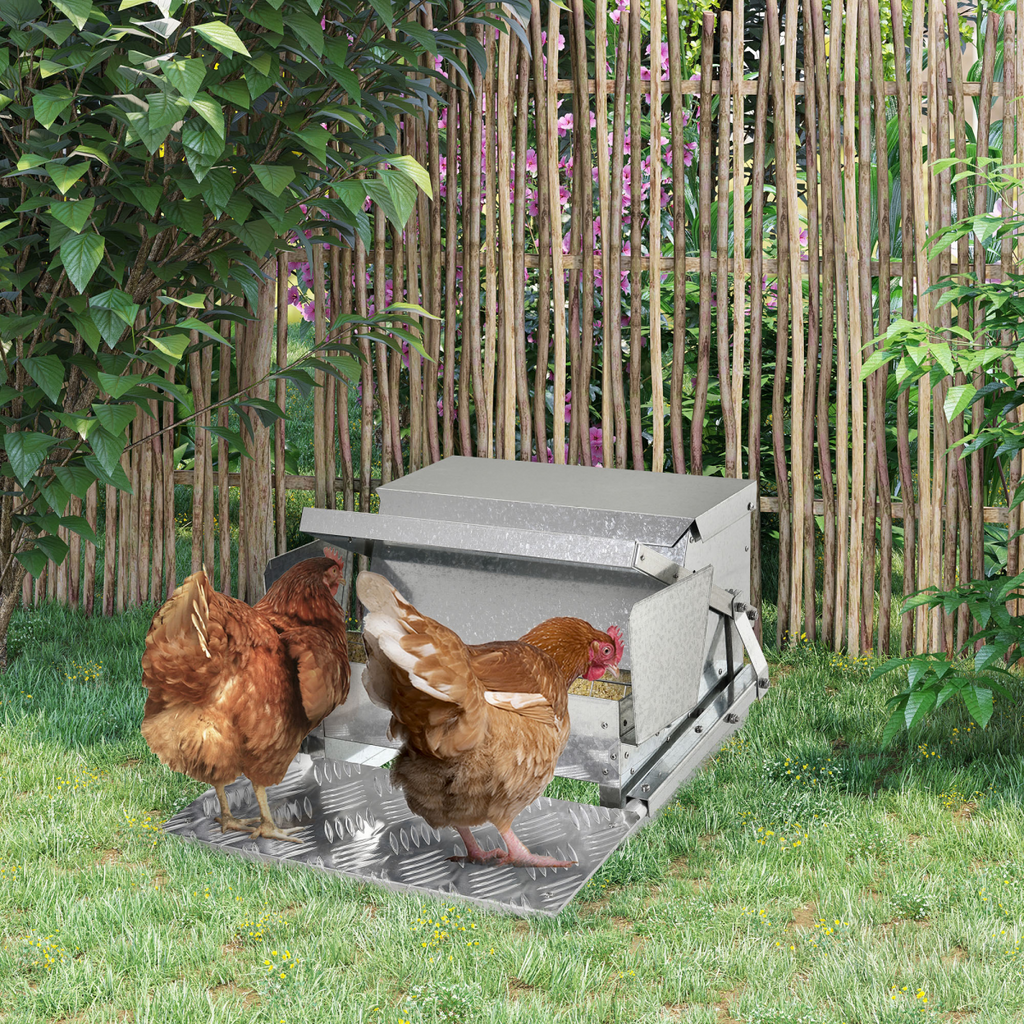 Automatic Chicken Feeder Galvanized Steel Poultry Feeders, 11.5kg of Feeds