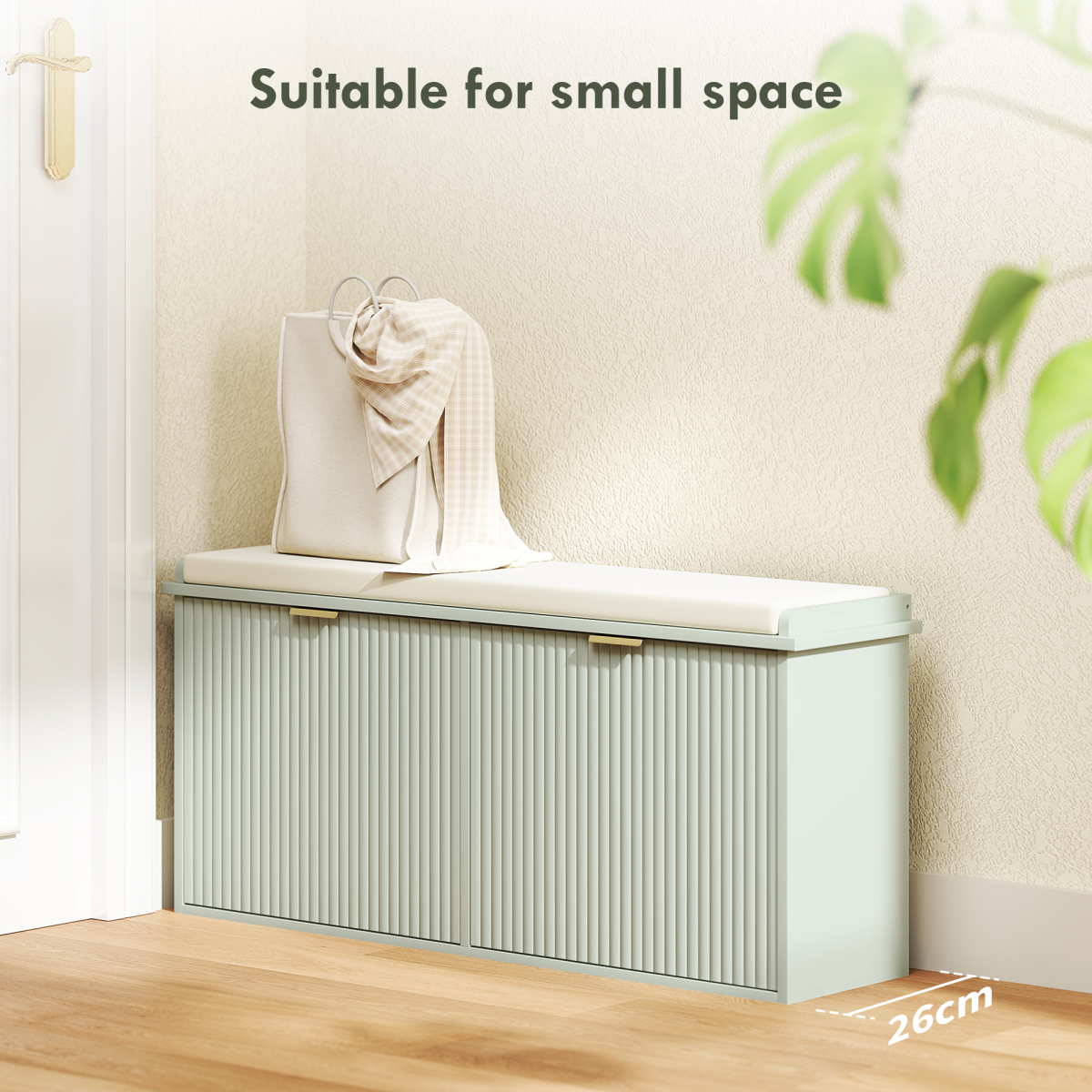 Shoe Storage Cabinet