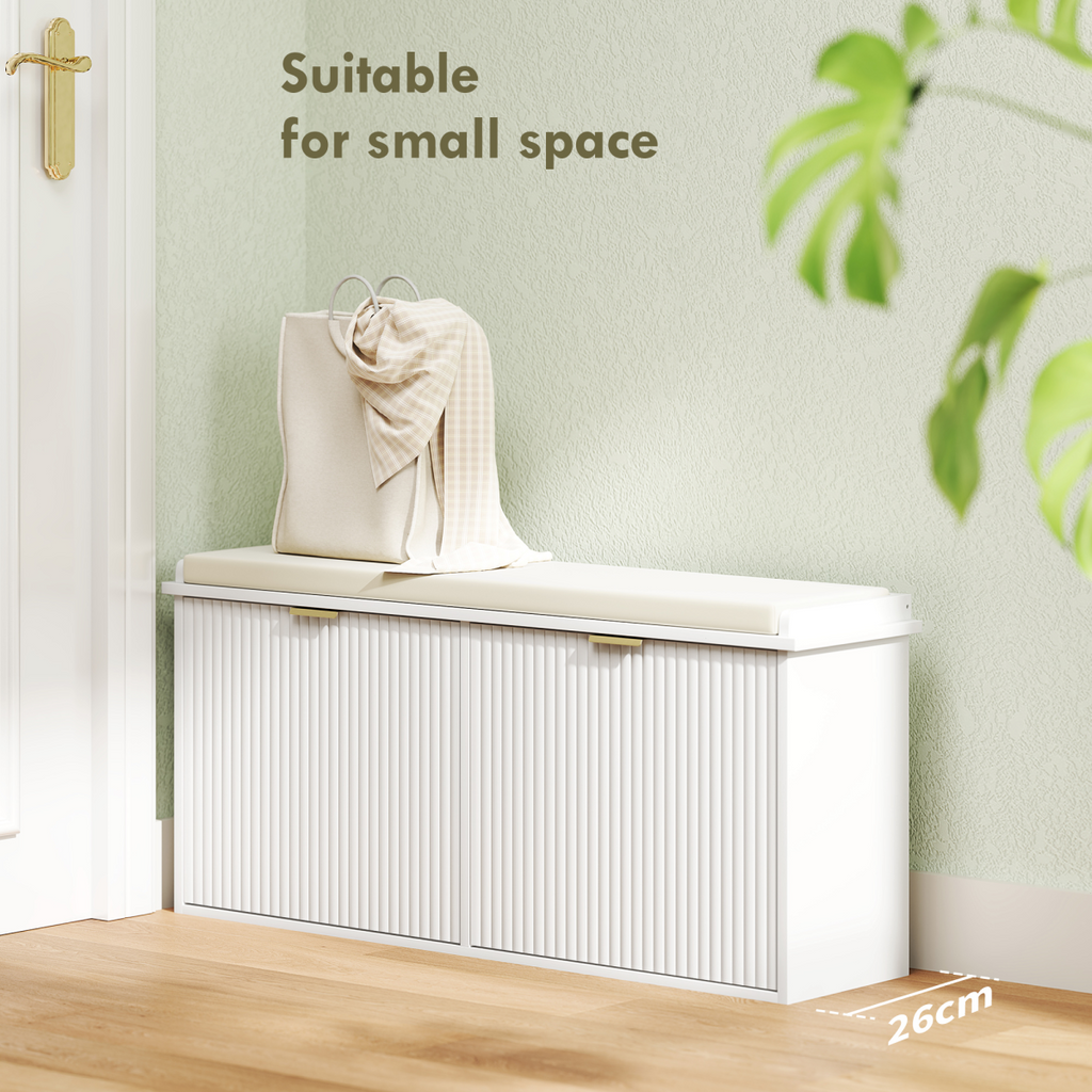 Shoe Storage Cabinet