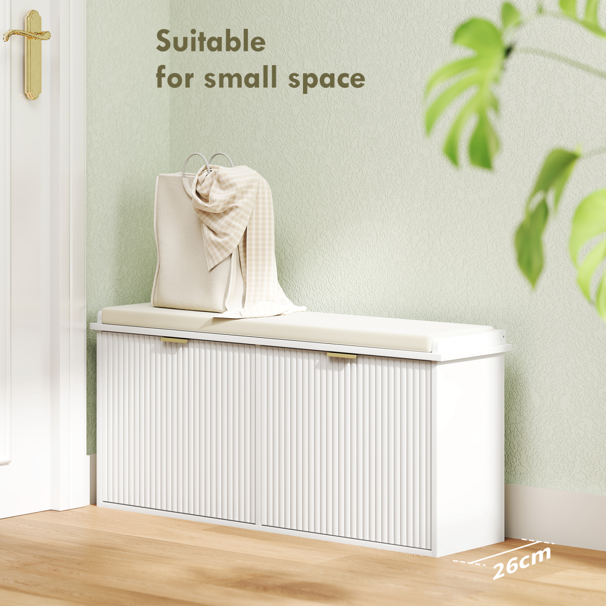 Shoe Storage Cabinet