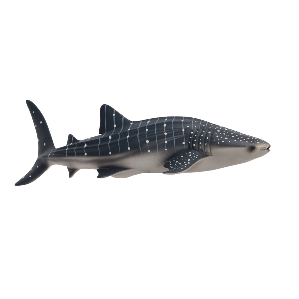 Whale Shark Toy  Realistic Ocean Animal Model