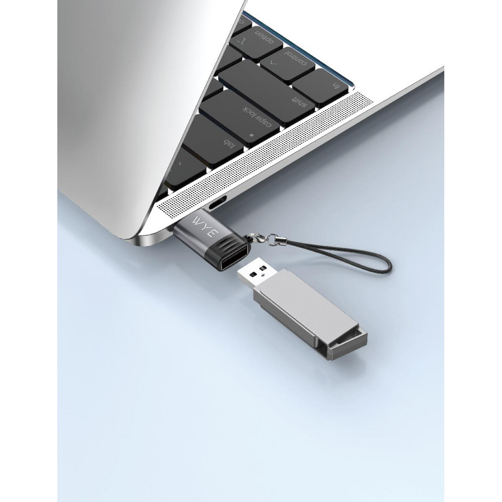 WYEFLOW USB-A to USB-C OTG Adaptor