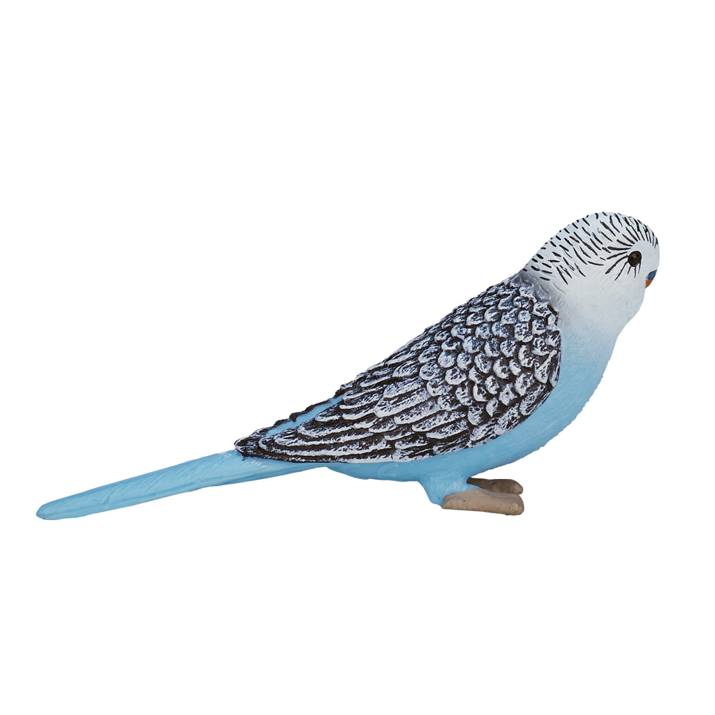 Blue Budgerigar Toy  Realistic Exotic Bird Figurine