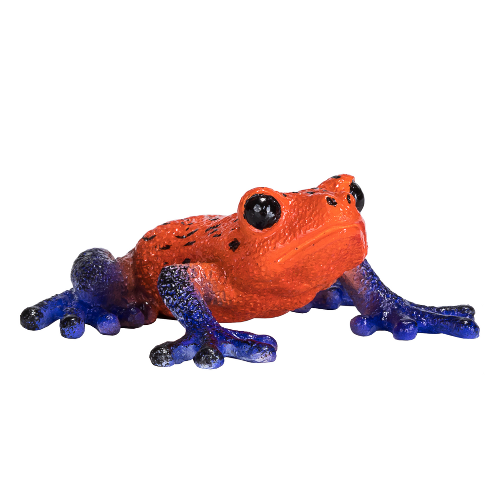Poison Dart Tree Frog Toy  Realistic Rainforest Amphibian Figure