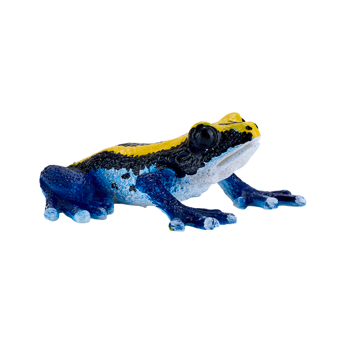 Poison Dart Frog Blue Toy  Realistic Rainforest Amphibian
