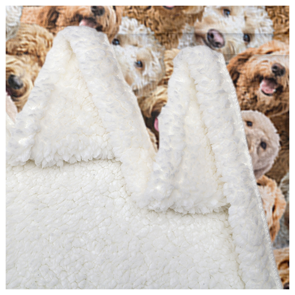 Cockapoos Fleece Blanket Fuzzy Dogs Blanket for Kids Adults Cute Puppy Cockapoos (150x200cm)