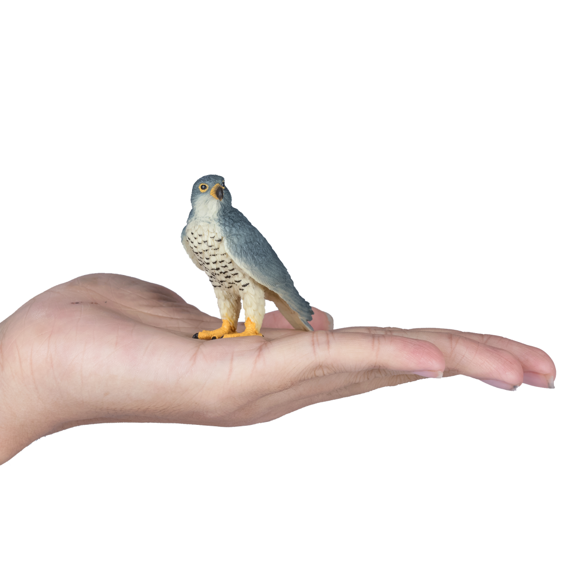 Peregrine Falcon Toy  Realistic Bird of Prey Model